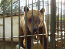 Picture 034