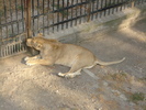 Picture 034