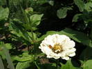 Picture 022