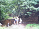DSCF4872