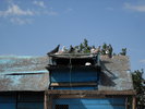 SDC11090