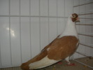 SANY0097