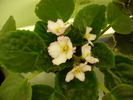 P1180222