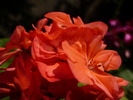 P1010476