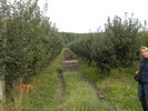 DSCN3200