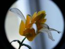 DSCF1722