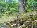 DSCF2577