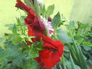 DSC00445
