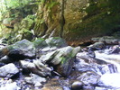 DSCF5275