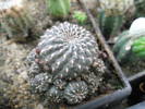 P6010107