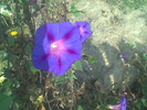 Imag020