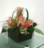 flori-ananas-orhidee