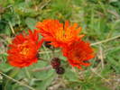 DSC00359
