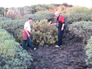Tenerife  1 165