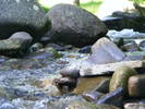 DSCF2759