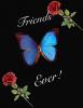 f_Friends4Evem_452fc15