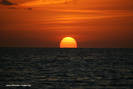 [From www.metacafe.com] 261825.1909316.1