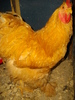 IMGP1290