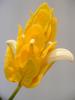 DSCF1679