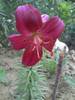 PICT0085