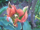 Imag070