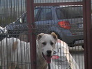 poze 01.05.2009 136