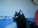 IMAG0015