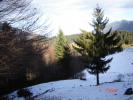 Picture 024