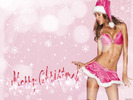 Christmas Wallpapers (582)