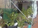 Foto0617