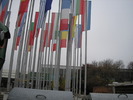 P1010306