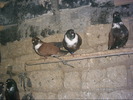 PICT0005