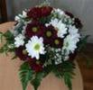 imagesCA1JO6WJ