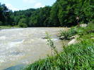 DSCF2467