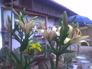 Imag030