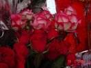 DSC05000