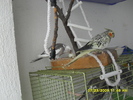 SDC10860