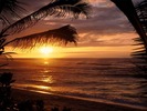 webshots285