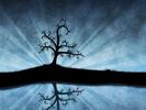 Christmas Wallpapers_ Winter Wallpaper_ Poze de Craciun 8