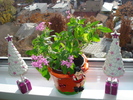 PENTAS
