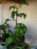 aug 2008 017
