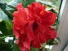 P1140168