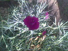 Imag042