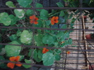 DSC09839