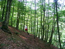 DSCF5315
