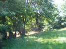 DSCF2655