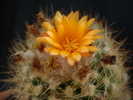 DSC00585