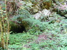 DSCF5288