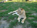Picture 001