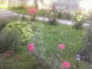 Copy of Fotografii-0028